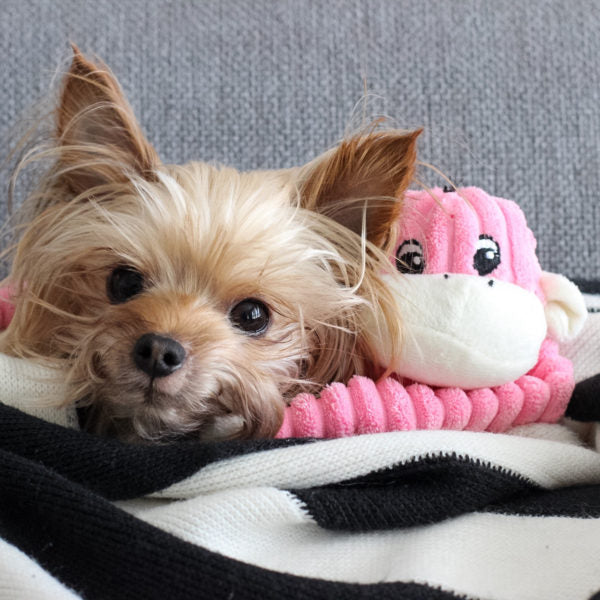 Spencer the Crinkle Monkey - Pink