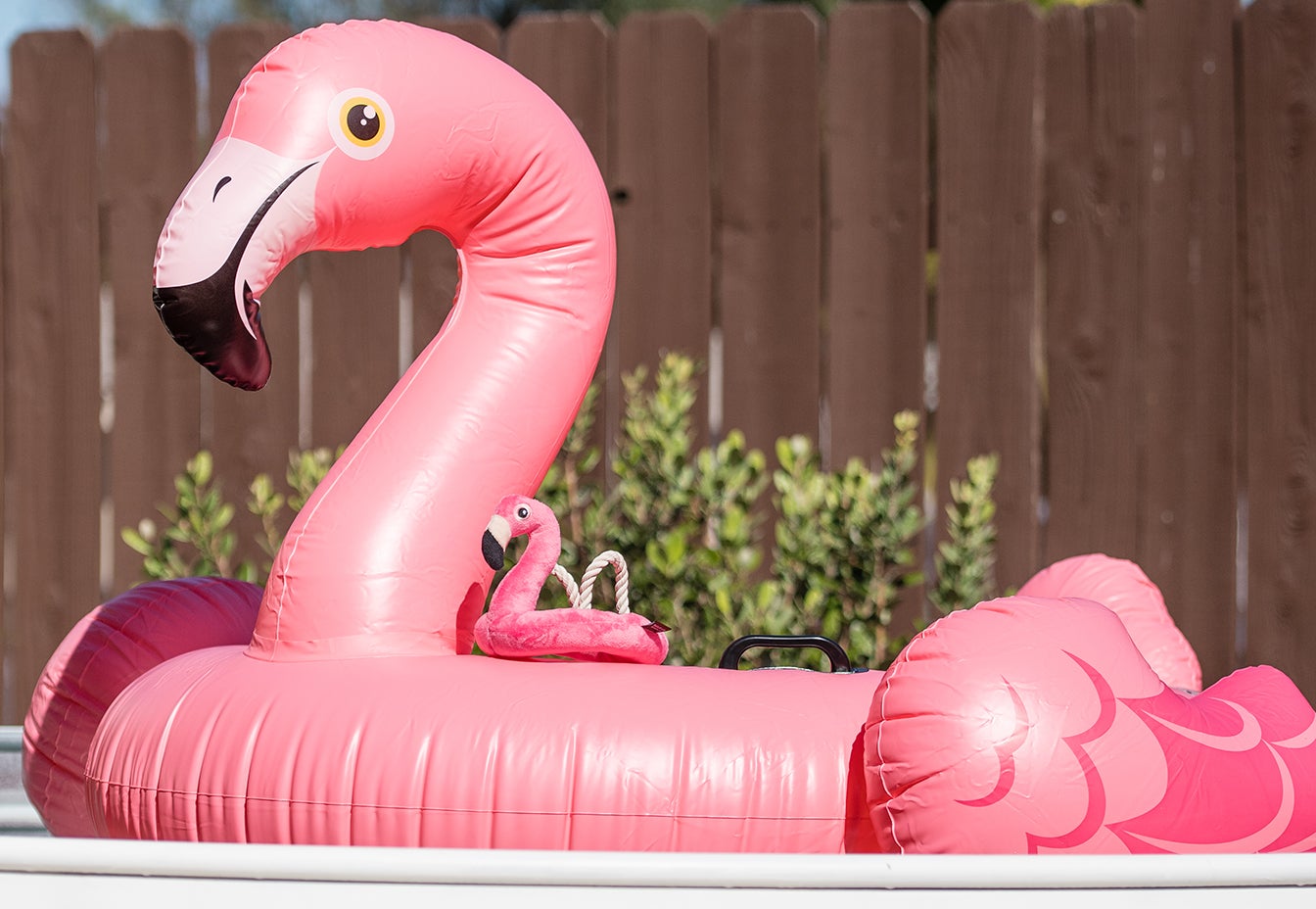 Tropical Paradise Flamingo Float