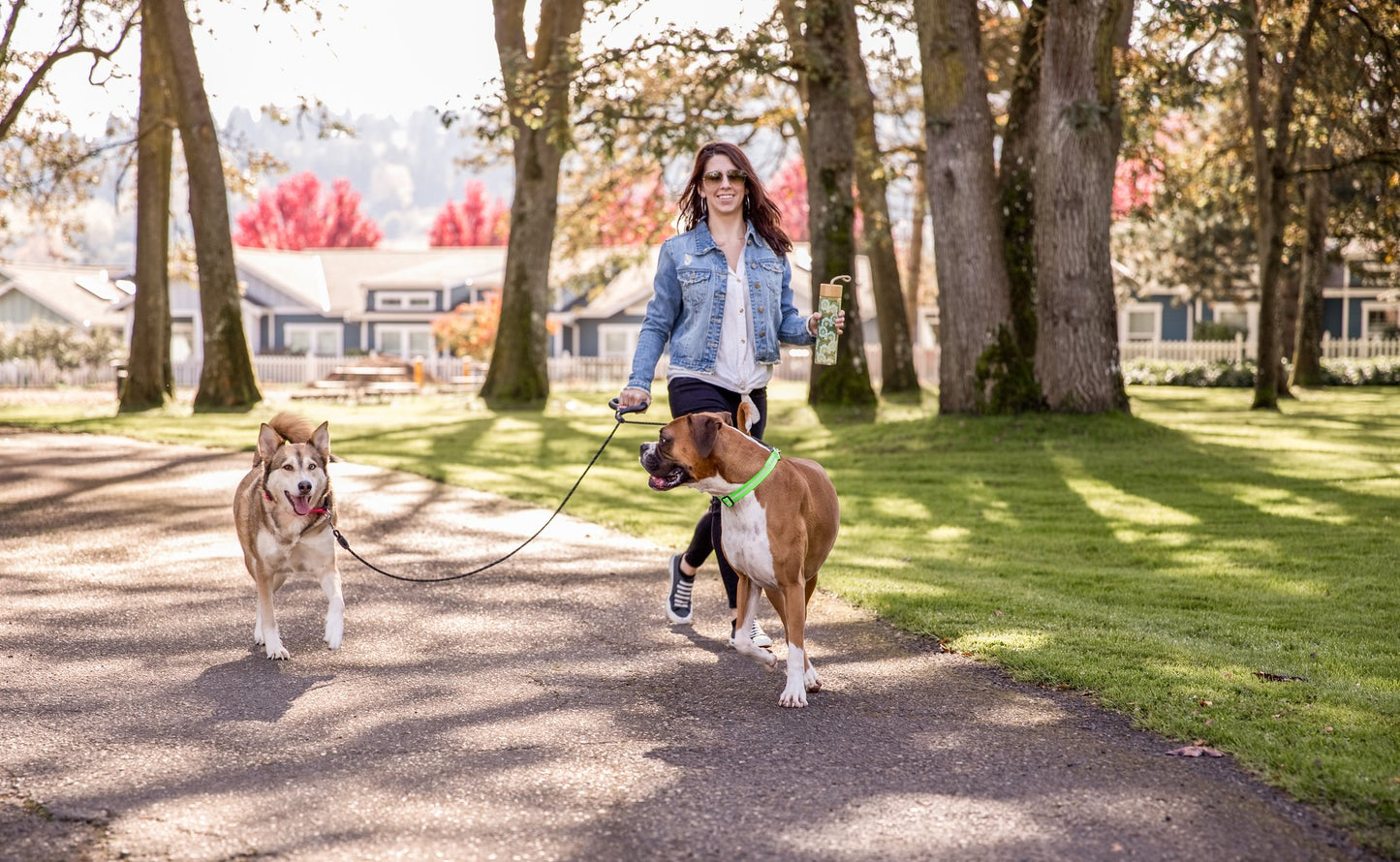 Dual Doggie Rope Leash With Gel Handle
