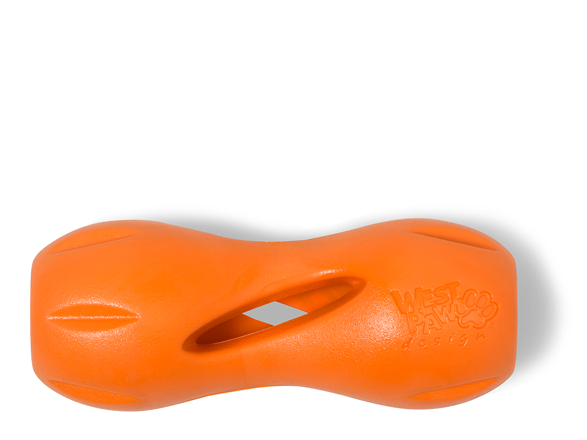 Qwizl Treat Toy