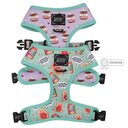 Reversible Dog Harness - Spread The Love