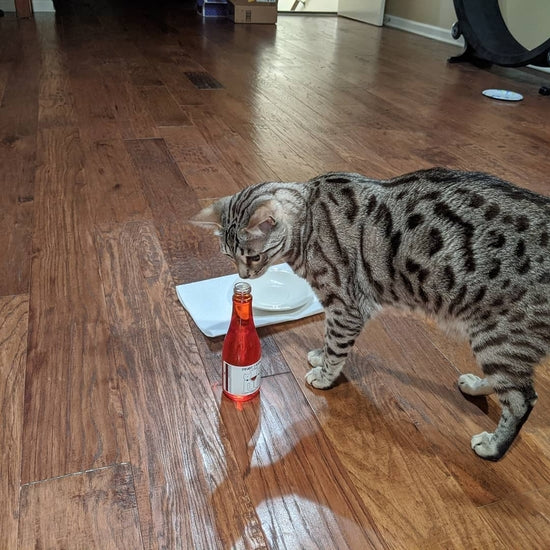 Cat Wine - Pinot Meow (Liquid Catnip For Cats)