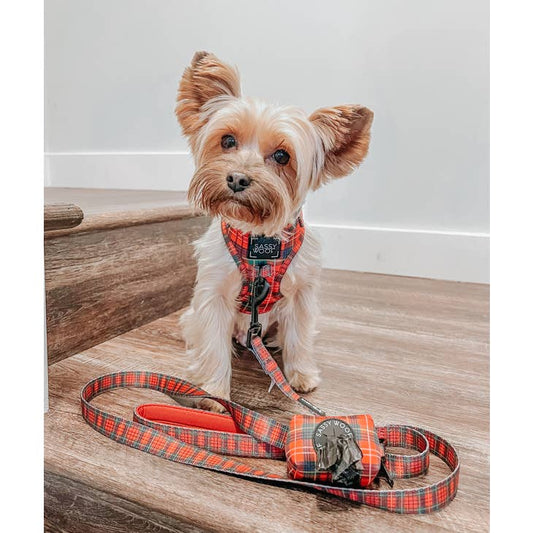 Fabric Dog Leash - Deck The Paws