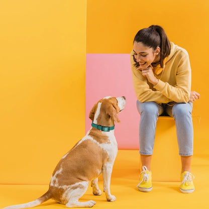 Biothane Waterproof Collar - Neon Pink