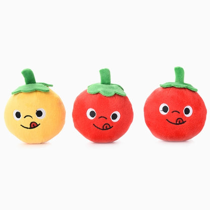 HugSmart Pet - Sunday Tomato | Tomato Can