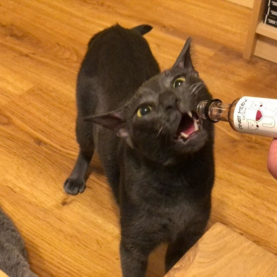 Cat Wine - Pinot Meow (Liquid Catnip For Cats)