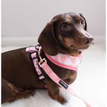 Dog Leash - Dolce Rose