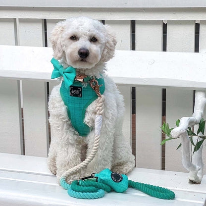 Dog Waste Bag Holder - Wag Your Teal