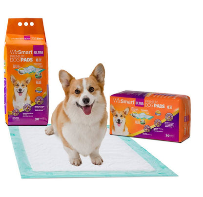 All-Day Dry Dog Pads - Ultra 30 Pack