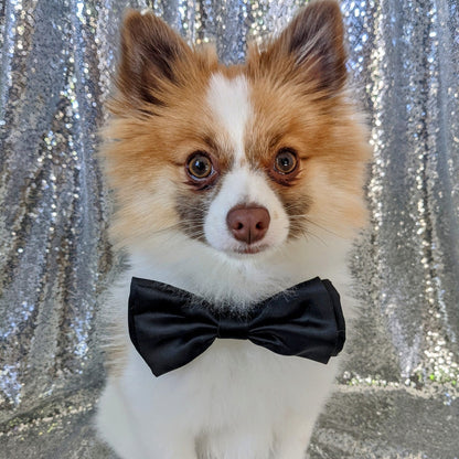 Black Satin Bow Tie