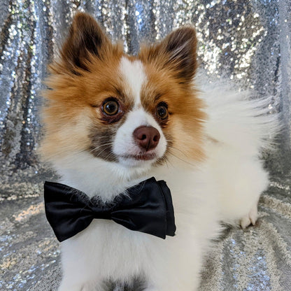 Black Satin Bow Tie