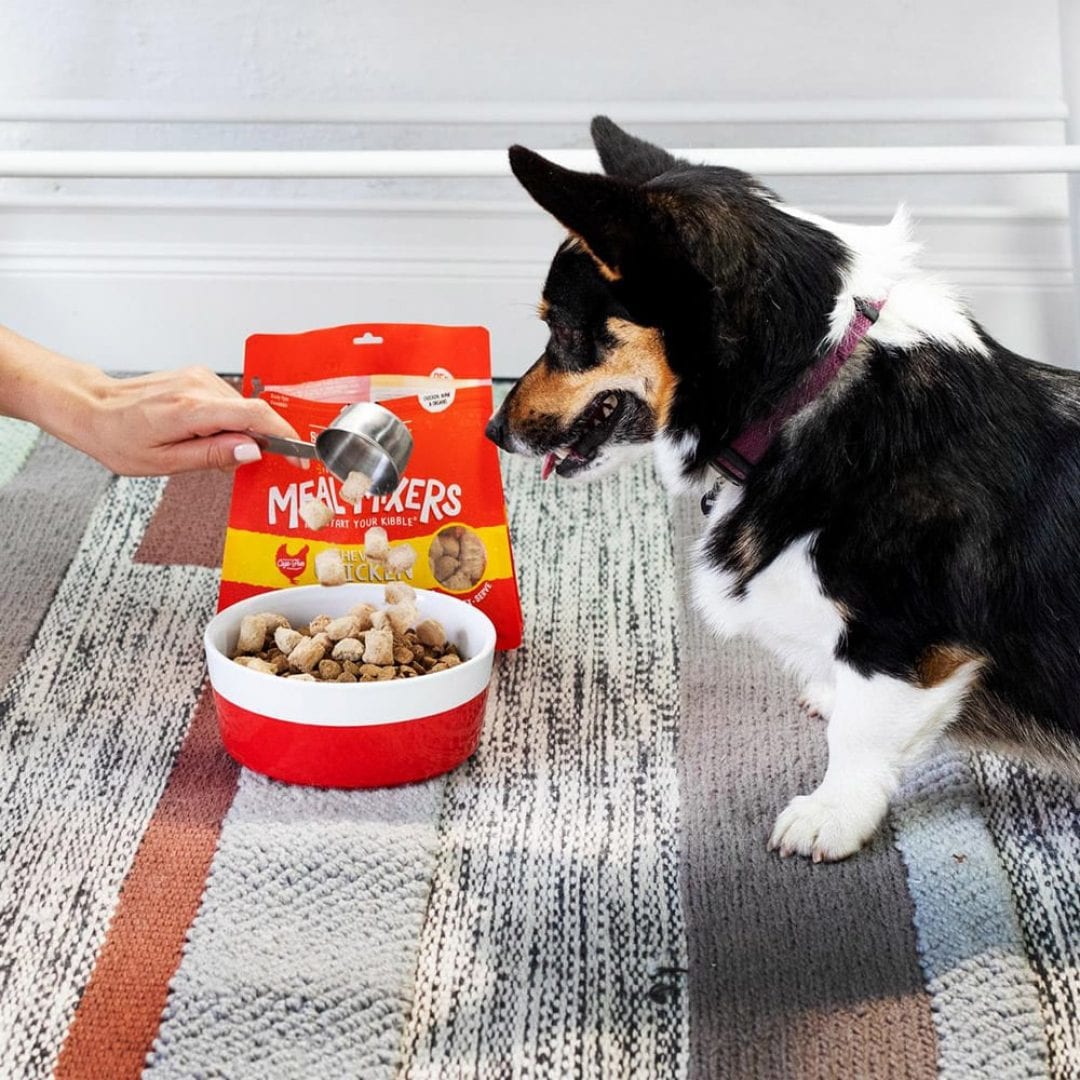 Stella&Chewy's Dog Food - Chicken Meal Mixers