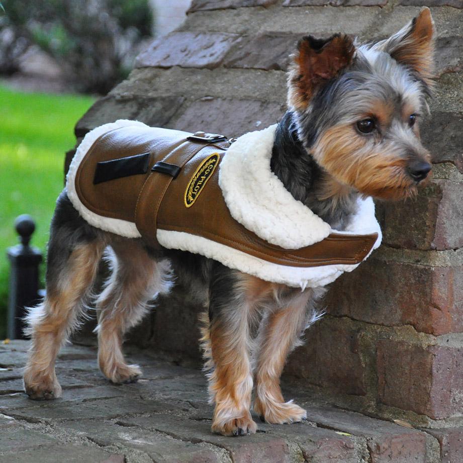 Brown and White Faux Leather Bomber Dog Coat Harness and Leash