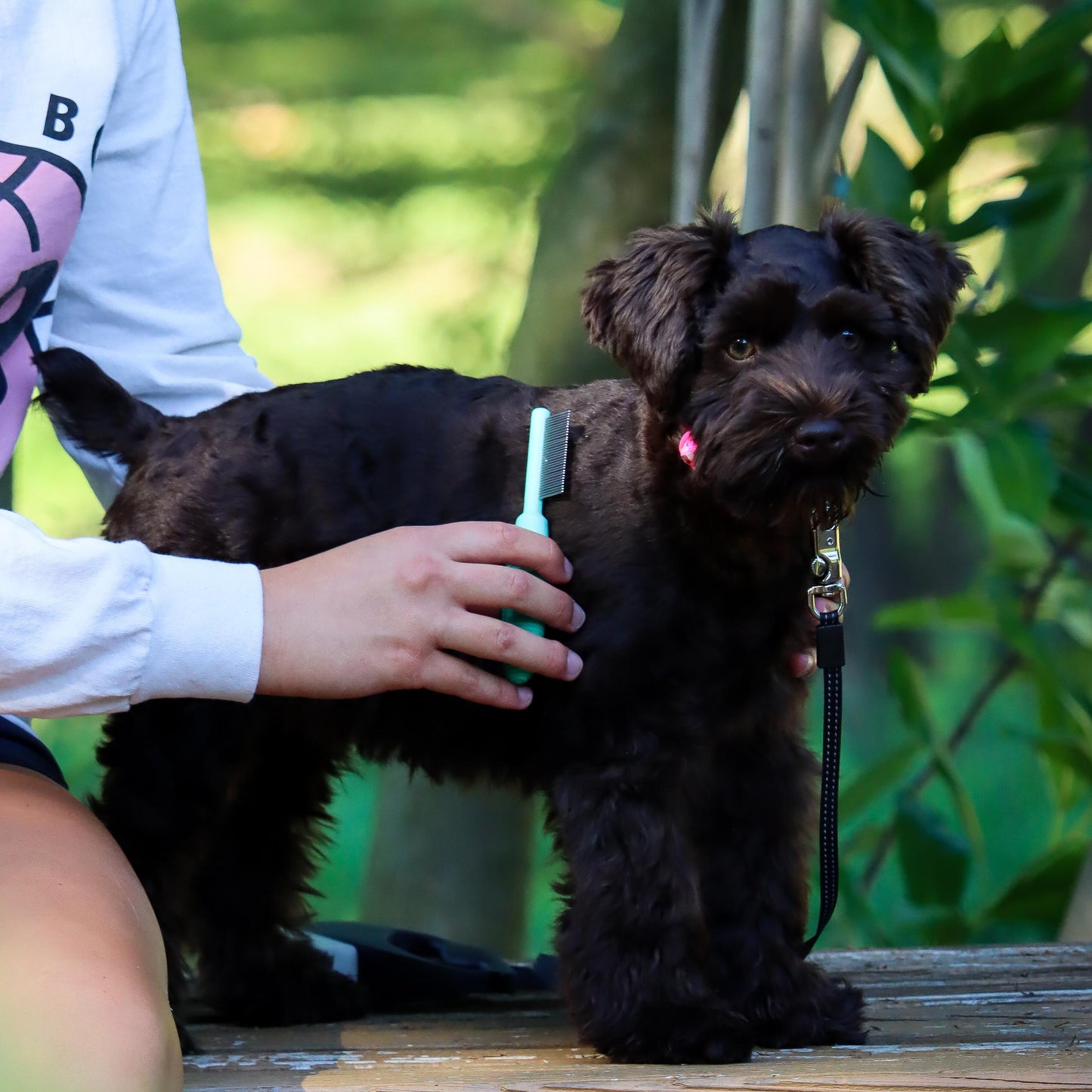 Li'l Pal Double-Sided Dog Comb