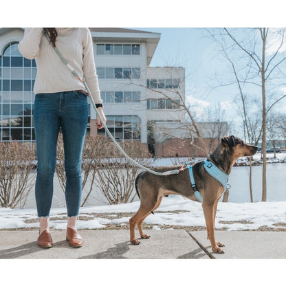 Dog Rope Leash (Hands-Free) - Clouds