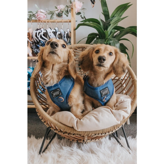 Dog Harness - Denim