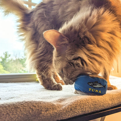 Can O Tuna Cat Toy