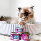 Stella&Chewy's Cat Food - Carnivore Cravings Savory Shreds Tuna & Mackerel Recipe