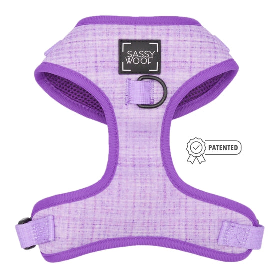 Dog Harness - Aurora