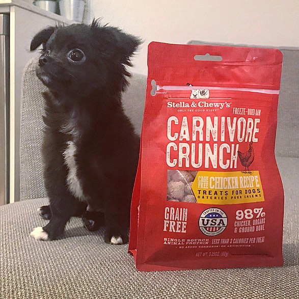 Stella&Chewy's Carnivore Crunch Chicken