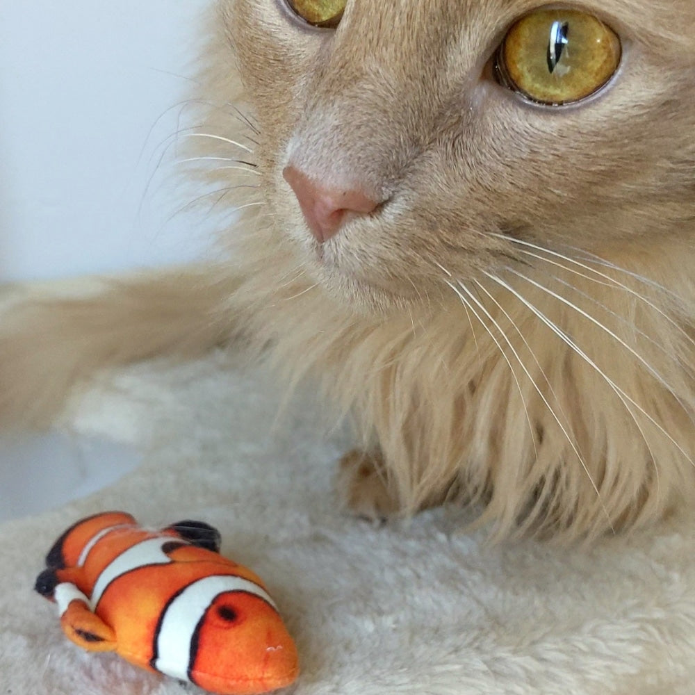 Clownfish Cat Toy