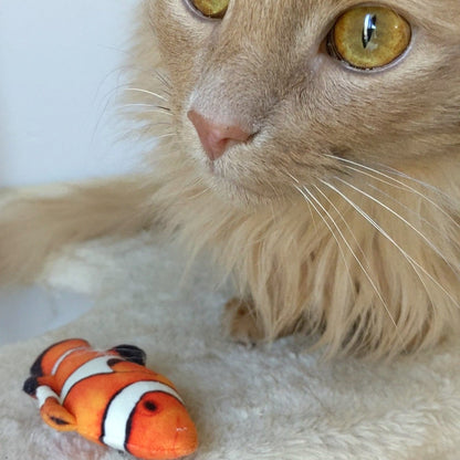 Clownfish Cat Toy