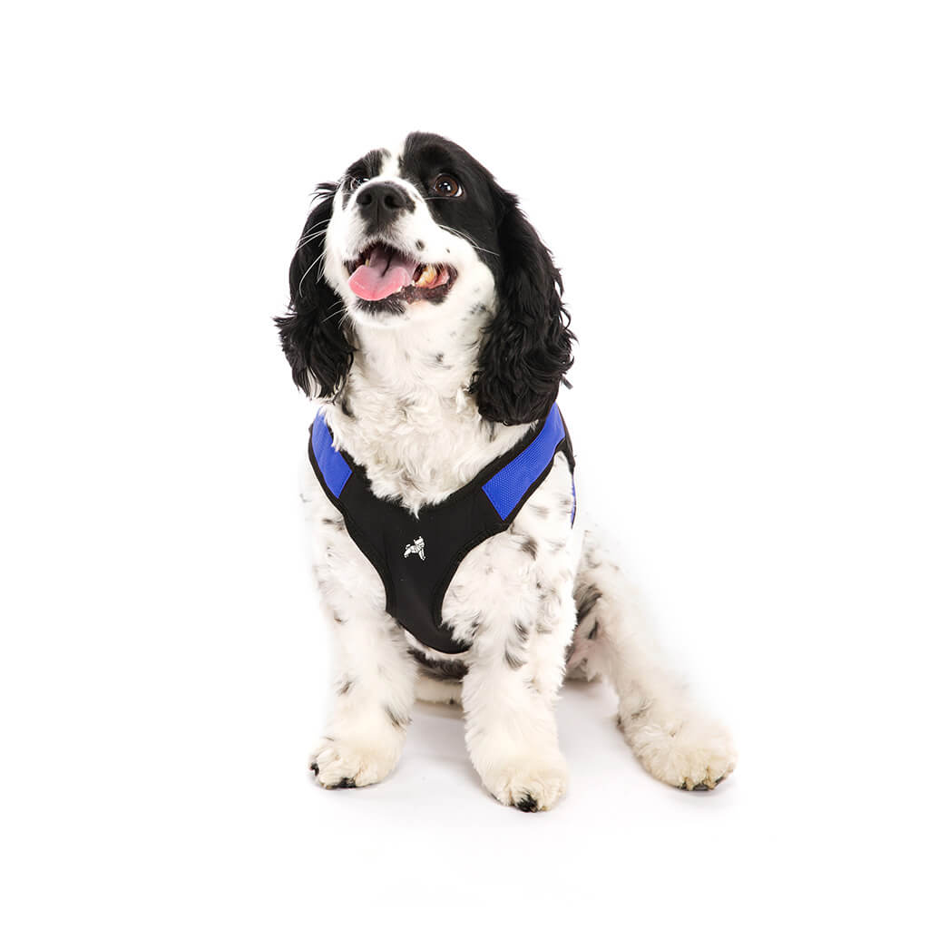 Escape Free Easy Fit Harness