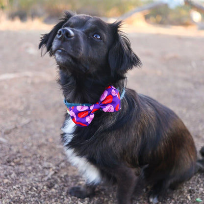 Convo Hearts Bow Tie