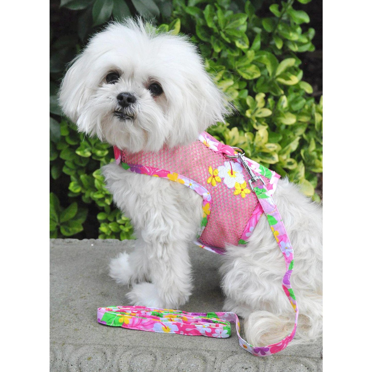 Cool Mesh Dog Harness with Leash - Pink Hawaiian Floral