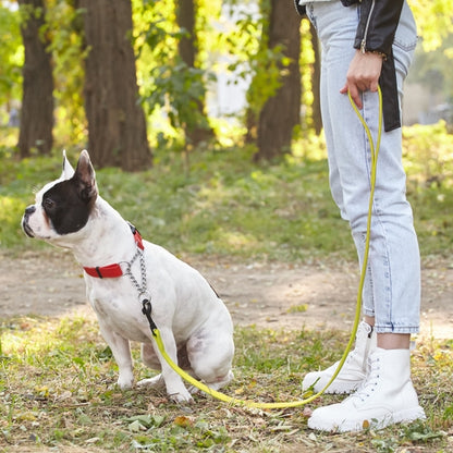 Biothane Waterproof Leash - Neon Yellow