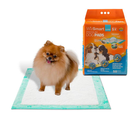 All-Day Dry Dog Pads - Super 50 Pack