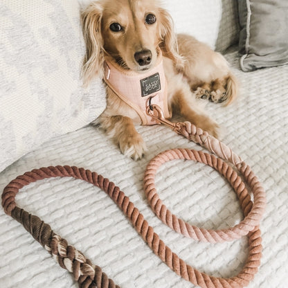 Dog Rope Leash - Sicily