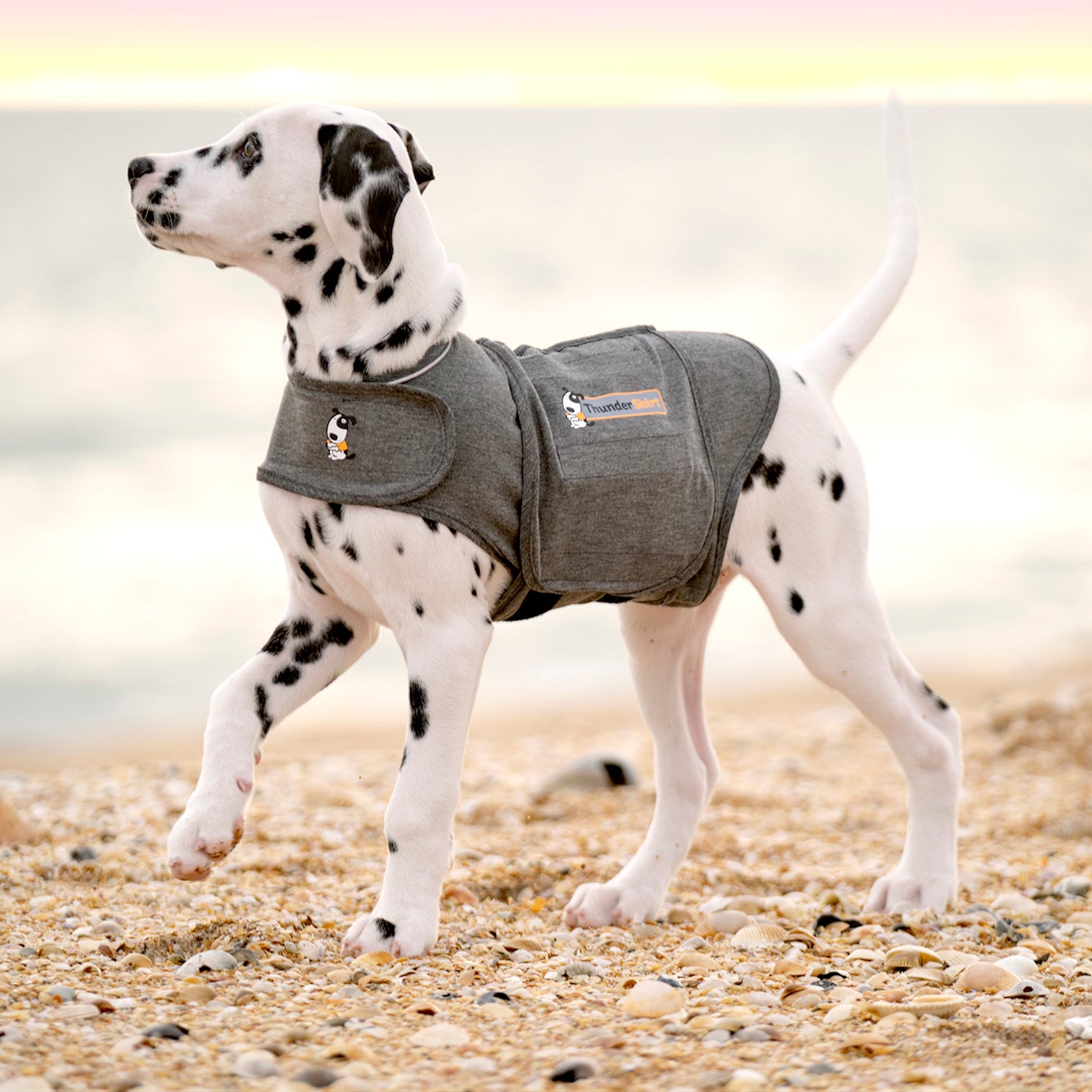 ThunderShirt for Dogs - Heather Gray Classic