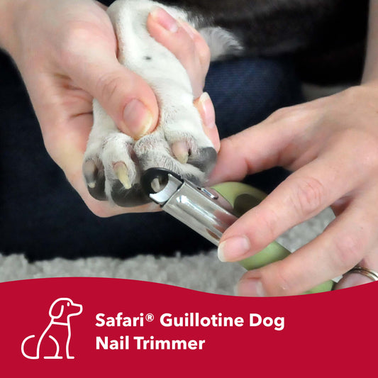Safari Guillotine Dog Nail Trimmer