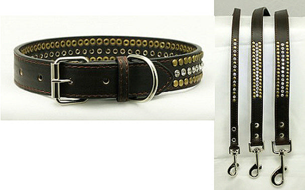 Diamond Winston Collar