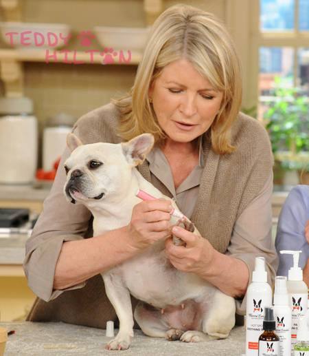 [Clearance 30%] Pawdicure Polish Pens - Dog Nail Polish