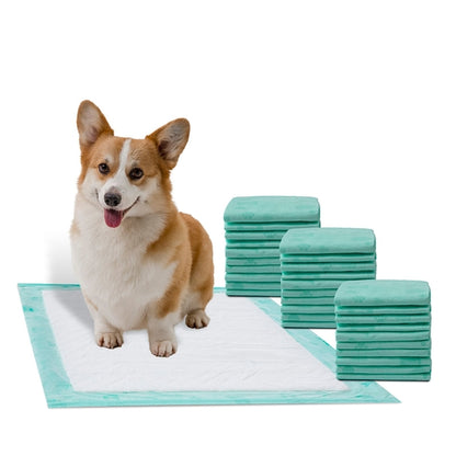 All-Day Dry Dog Pads - Super 50 Pack