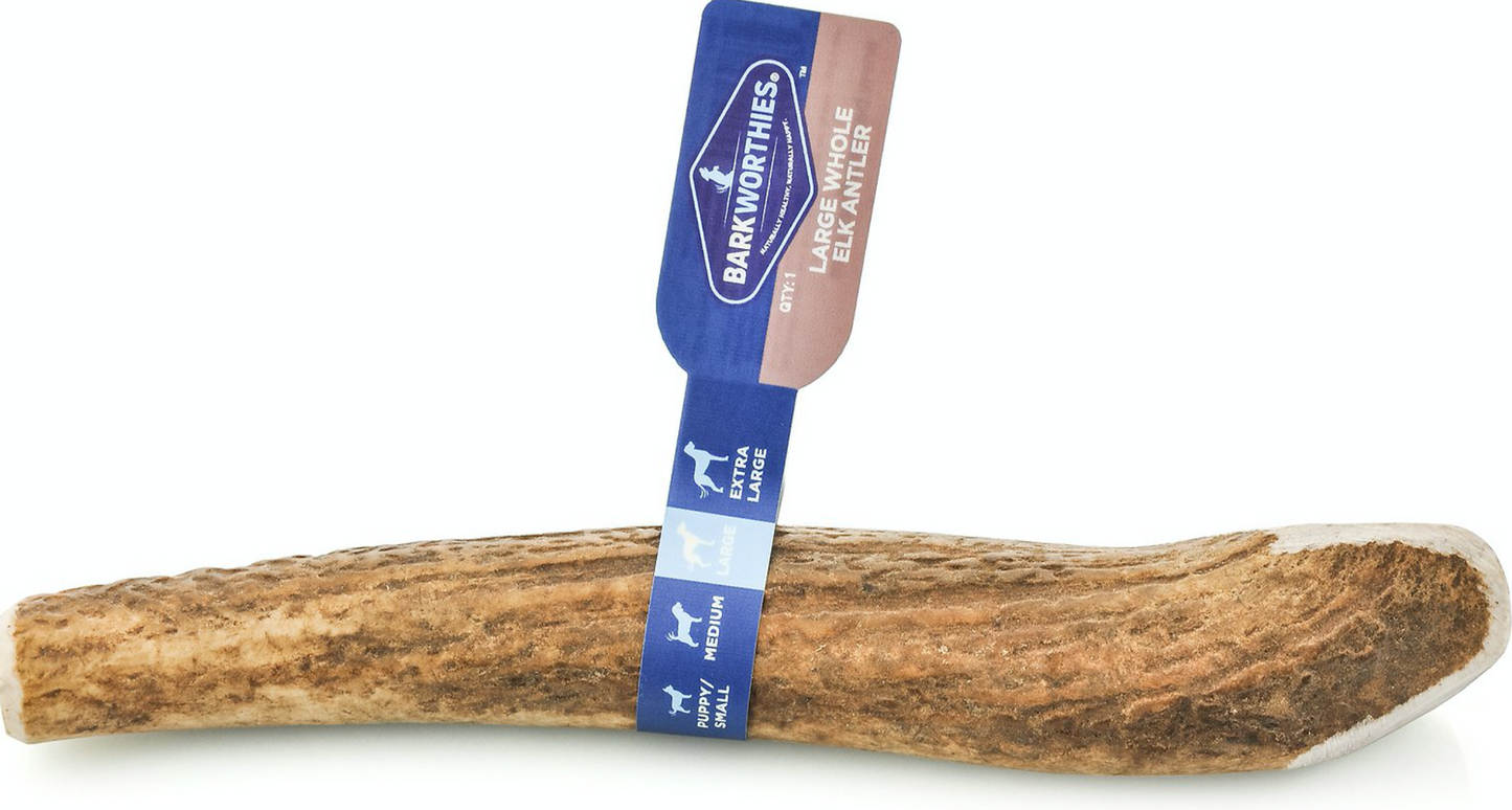 Barkworthies Elk Antler Whole Dog Chew