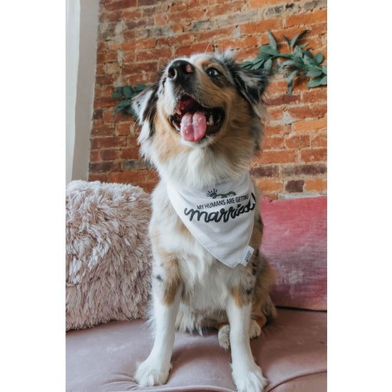 Dog Bandana - My Humans Are Getting Married Dog Bandana