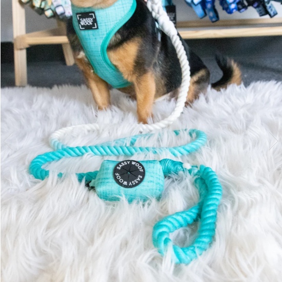 Dog Waste Bag Holder - Wag Your Teal