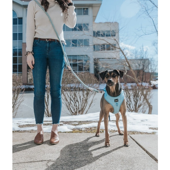 Dog Rope Leash (Hands-Free) - Clouds