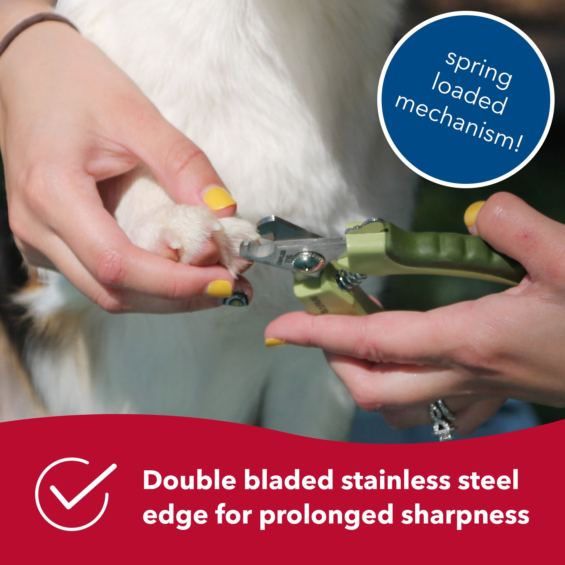 Nail Clipper | Surgical Stainless Steel Dog Nail Clipper - J&J Dog Supplies