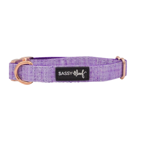 Dog Collar - Aurora