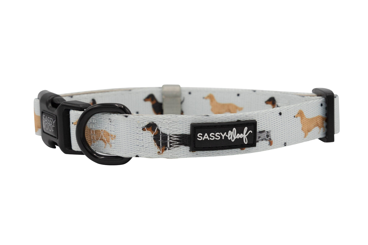 Dog Collar - 101 Dachshund