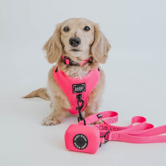 Dog Waste Bag Holder - Neon Pink