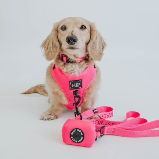 Neon Pink Dog Waste Bag Holder