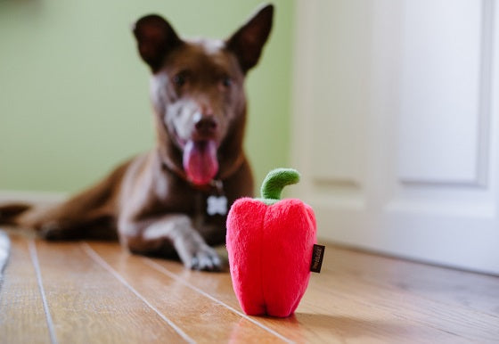Farm Fresh Veggie - Bell Pepper Toy