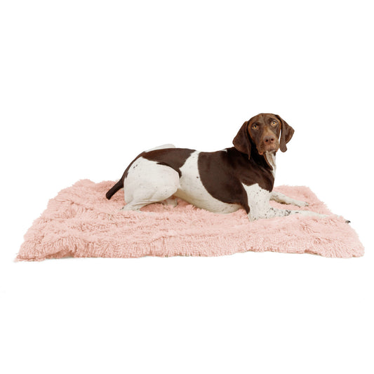 Shag Pet Throw Blanket