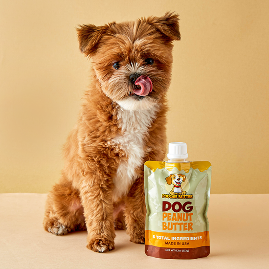 Dog Peanut Butter Squeeze Pack