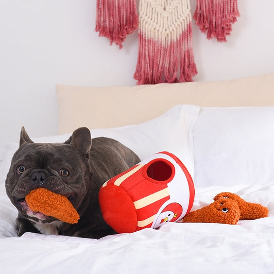 HugSmart Food Party Dog Toy – Fried Chicken